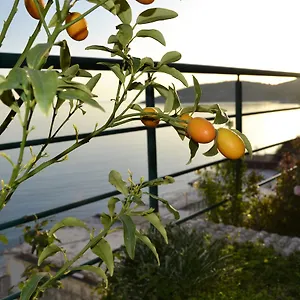  Guest house Panorma